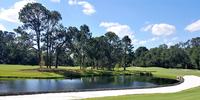 Dolphin Head Golf Club Review 